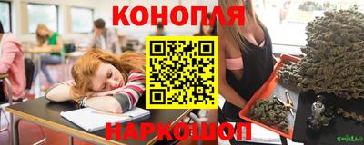 эйфоретик Новокубанск