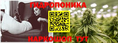 мет Новозыбков