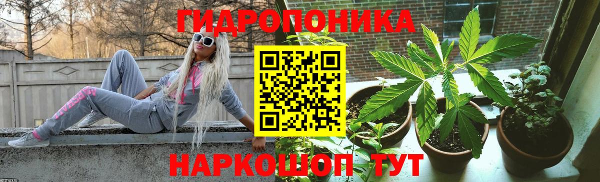 Конопля гибрид Тавда